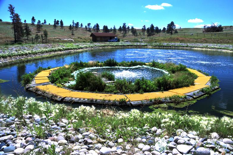 Montana floating islands for nitrate removal