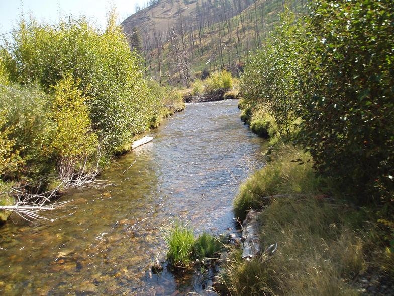 Treated water receiving stream